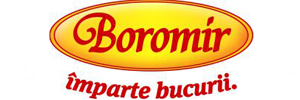 Logo Boromir - Dulap Metalic - Fiset Metalic
